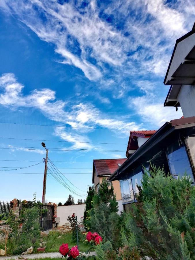 Casa Alba Hotel Năvodari Eksteriør billede
