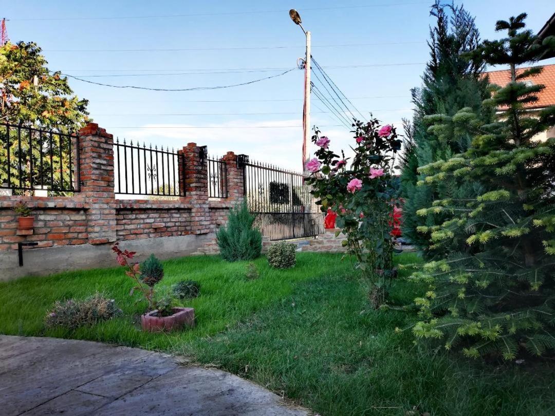 Casa Alba Hotel Năvodari Eksteriør billede