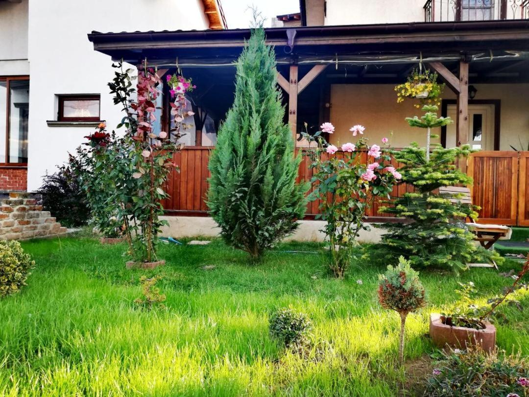 Casa Alba Hotel Năvodari Eksteriør billede