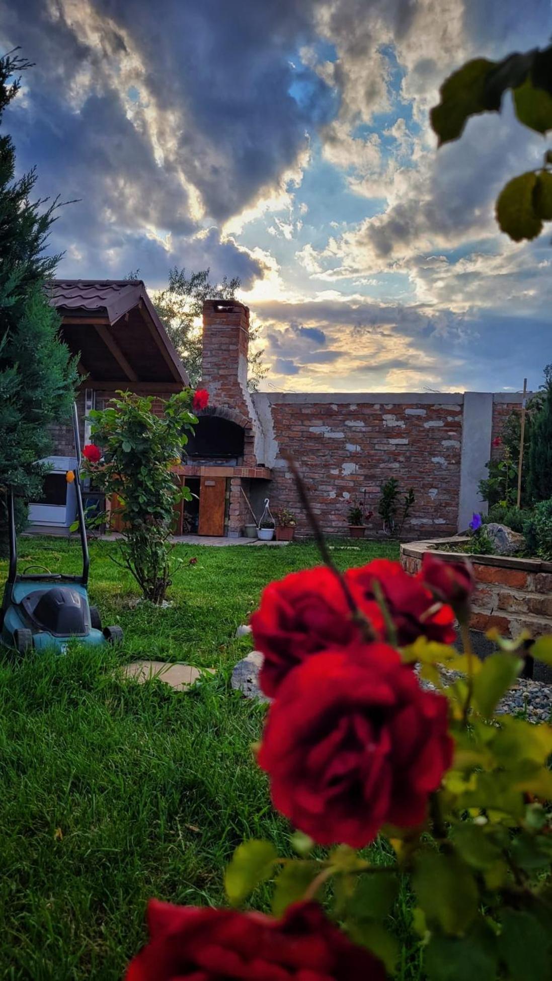 Casa Alba Hotel Năvodari Eksteriør billede