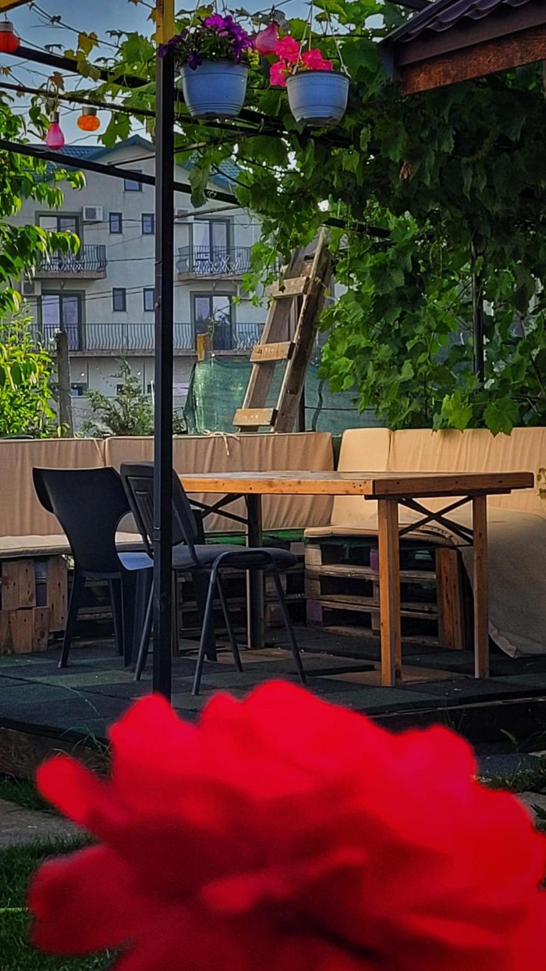 Casa Alba Hotel Năvodari Eksteriør billede